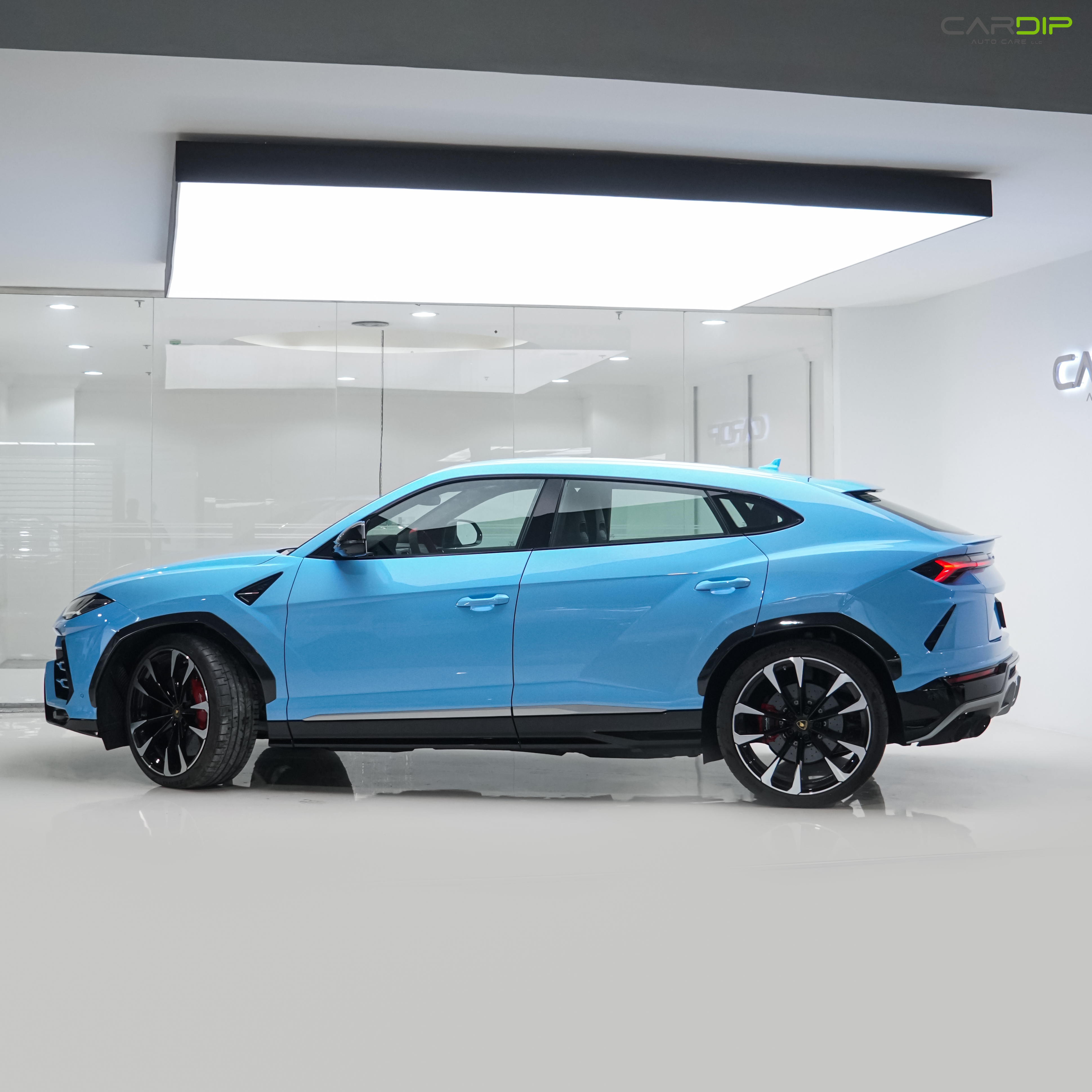 Full Body PPF in a garage.Cardip