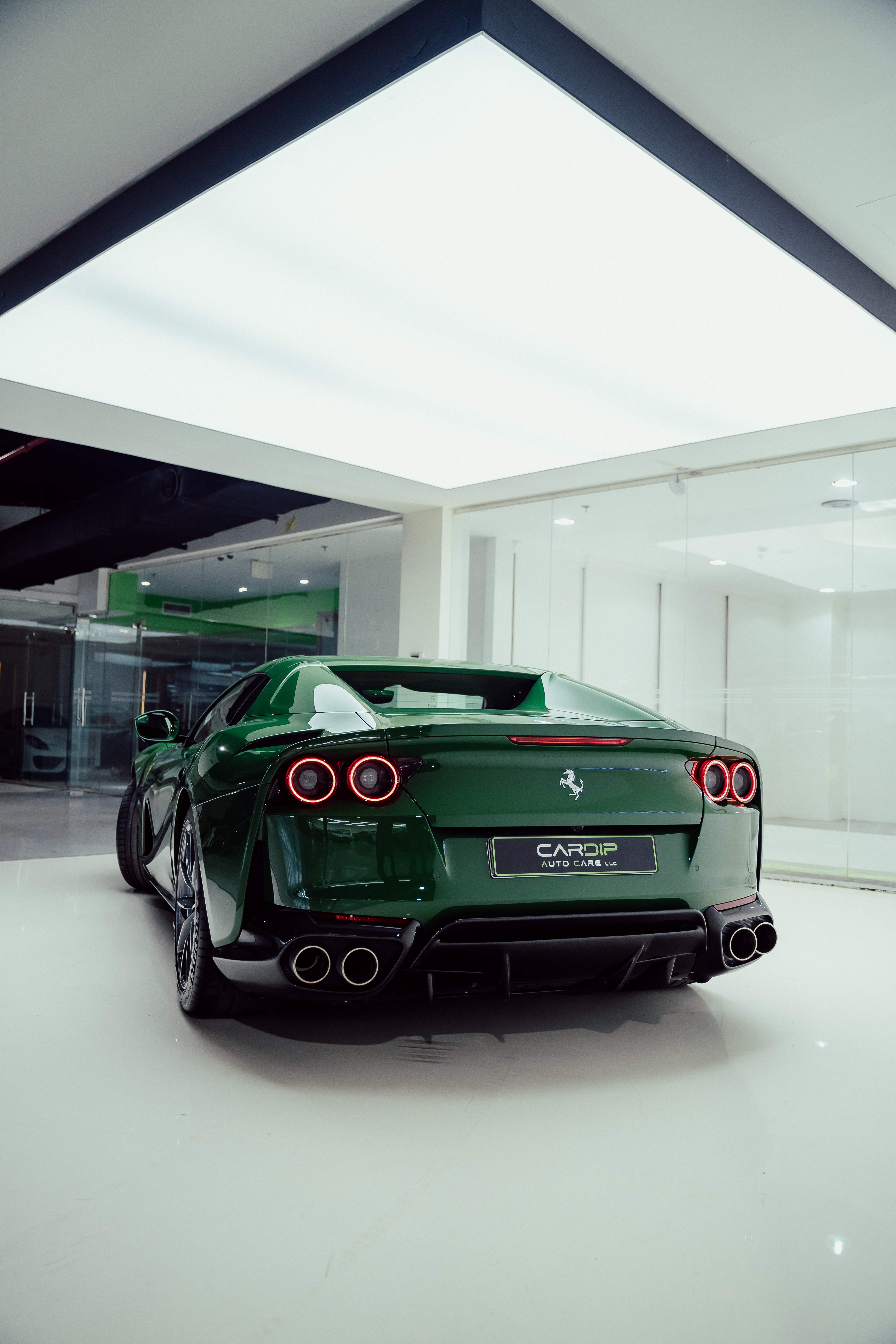 Car Needs Professional Detailing.Cardip